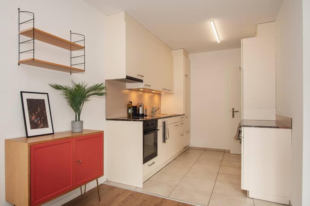 Spacious Next To Rhine * Bazel